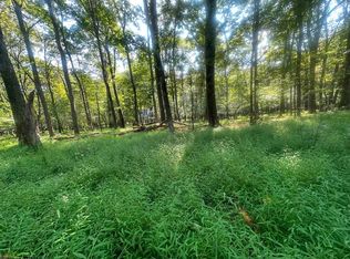 LOT 163 Anemone Ln, Terra Alta, WV 26764