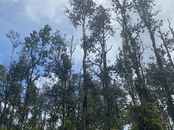 MOLOKAI RD, Pahoa, HI 96778