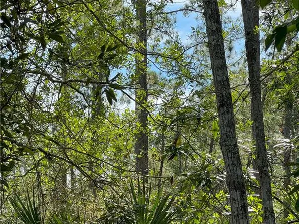 Quail Nest Ln Lot 14, New Smyrna Beach, FL 32168
