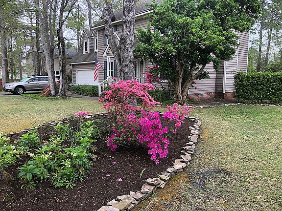 Colonial Jasmine trellis x2