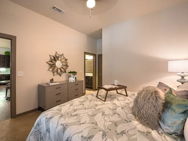 Overture Plano 55+ Apartment Homes — Photo 71