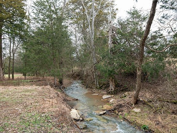 4th image of 535 Turkey Trot Pvt Ln Lot 16