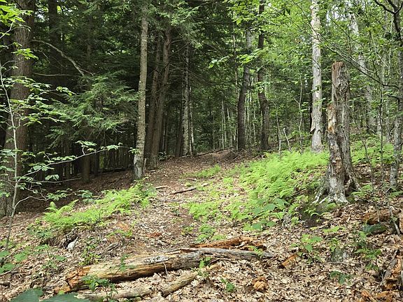 2nd image of 0 Monroe Rd