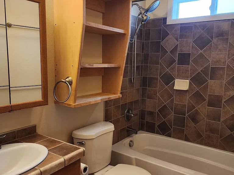 1007 W Cushing St — Photo 13