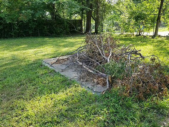 3rd image of 235 N Oxford Ave