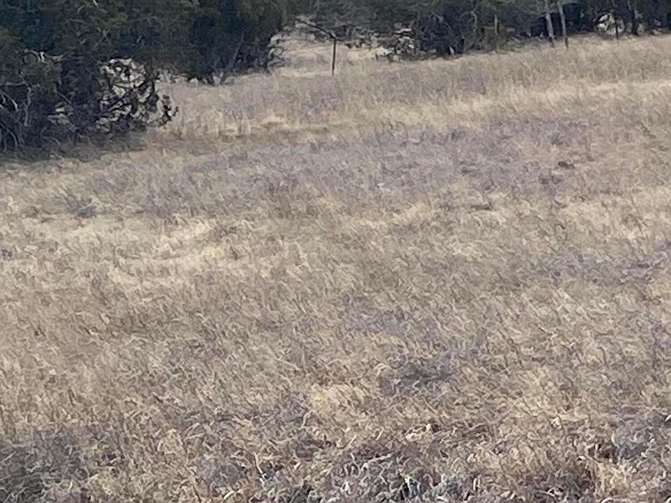 1st image of Marjorie Dr