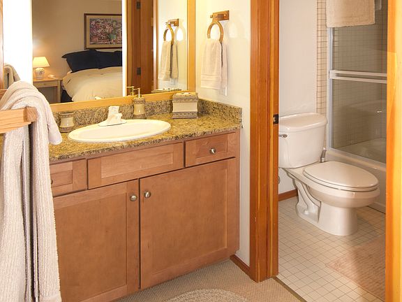 Downstairs Master Bathroom