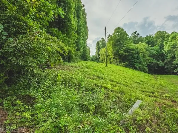 Tbd Woolwine Hwy, Woolwine, VA 24185