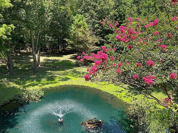 Pond backyard view and Bayou
