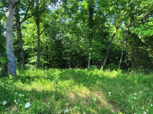 LOT 155 Hill Side Rd, De Soto, MO 63020