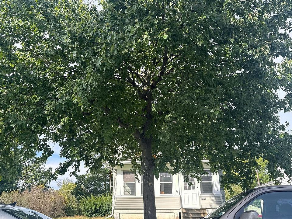 1st image of 538 Euclid St