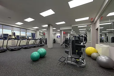 Rented by Manhattan Skyline