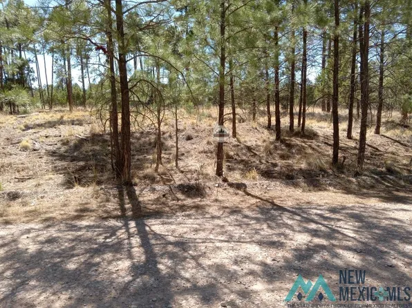 2 Balkans Dr, Timberon, NM 88350