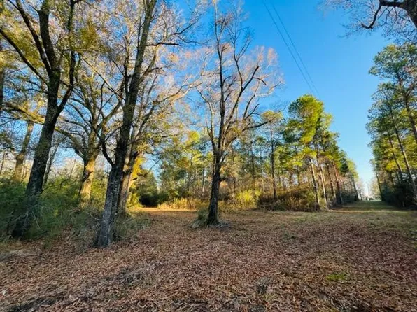 Dinan Salem Rd, Tylertown, MS 39667