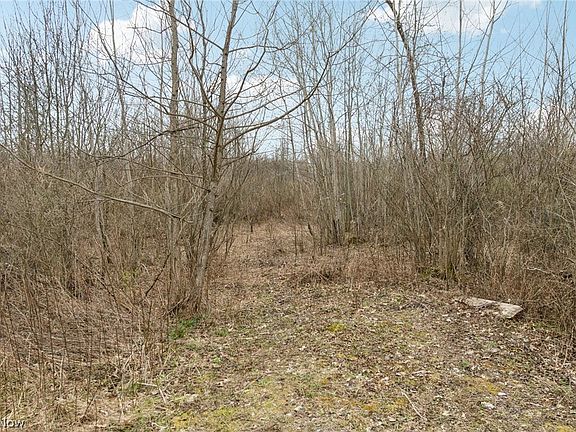 2nd image of Center Rd