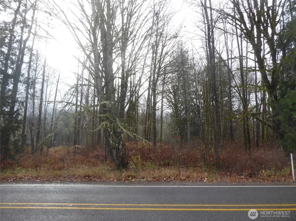 0 P45202 & P45188, Marblemount, WA 98267