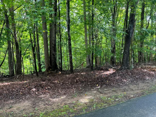 19 Leeward Dr, Moneta, VA 24121