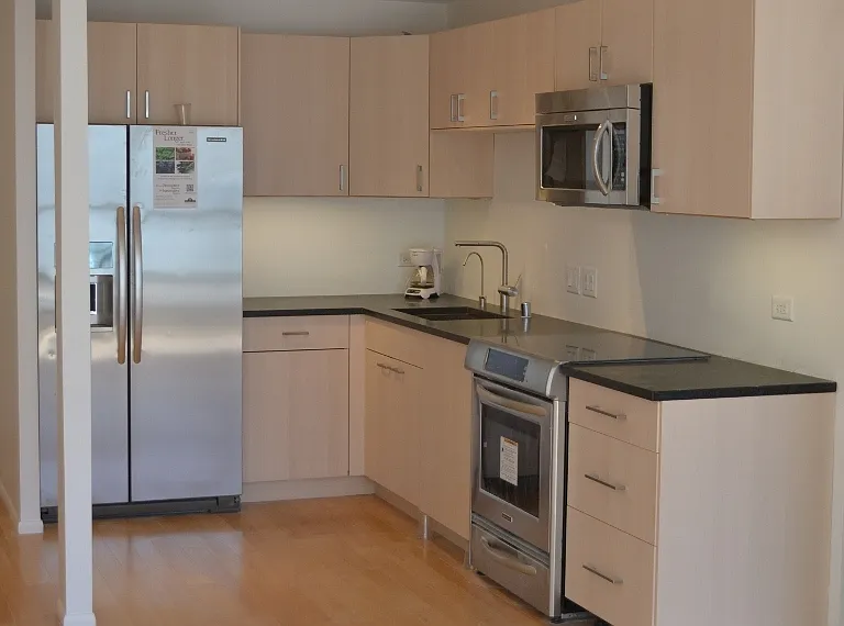 405 N Wabash Ave #1307 — Photo 4