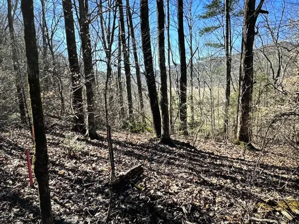 30 Walden Cove Way Lot 30, Sevierville, TN 37862