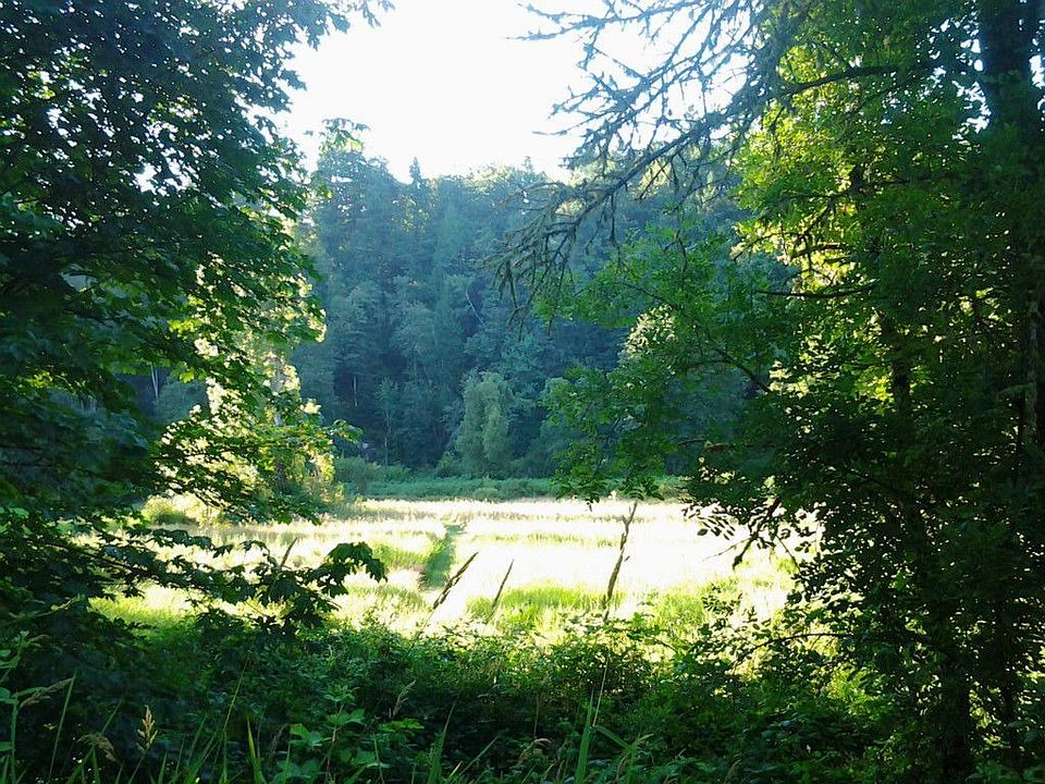 11009 Stedman Rd SE, Olympia, WA 98513 Zillow