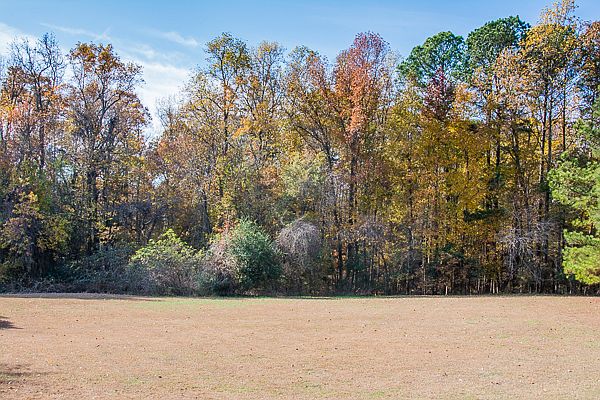 2nd image of N Point Subdivision #20