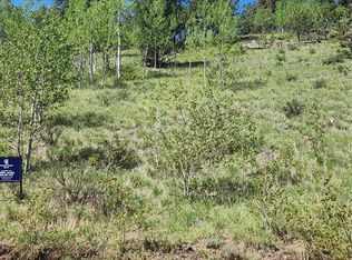 267 Ward Street, Bailey, CO 80421