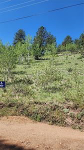 267 Ward Street, Bailey, CO, 80421