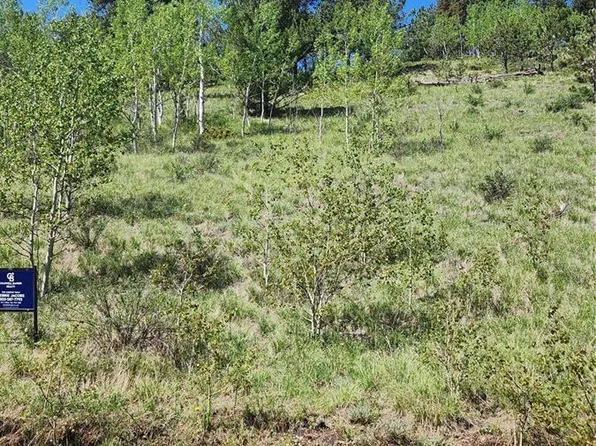 267 Ward Street, Bailey, CO 80421