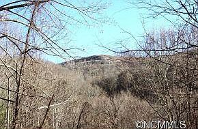 2nd image of 38 Wolf Ridge Rd