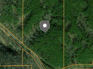 1504 Pinhook Rd, Ranger, GA 30734