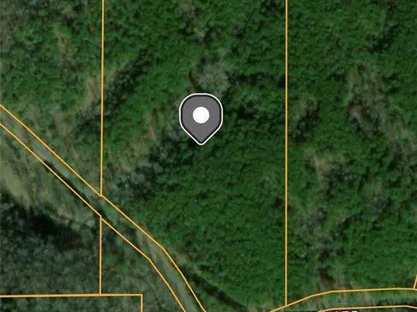 1504 Pinhook Rd, Ranger, GA 30734