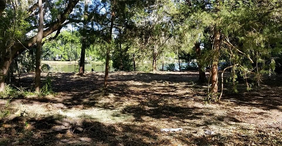 2nd image of 115 Driftwood Pl