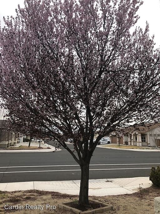 2nd image of 369 Cook Way