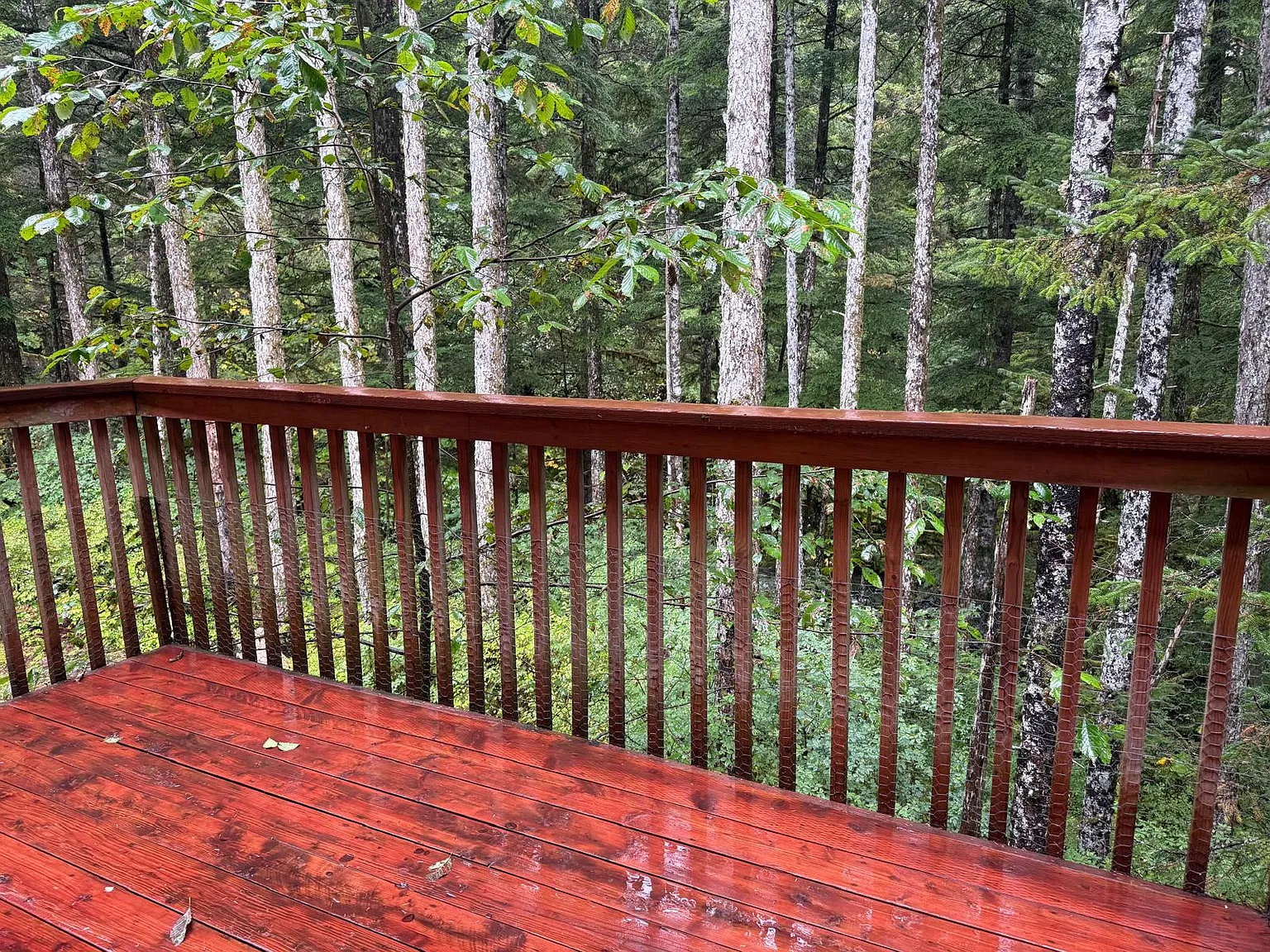 Great Western St, Juneau — Photo 3