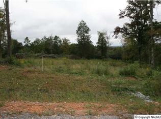 38 Ryan St, Section, AL 35771