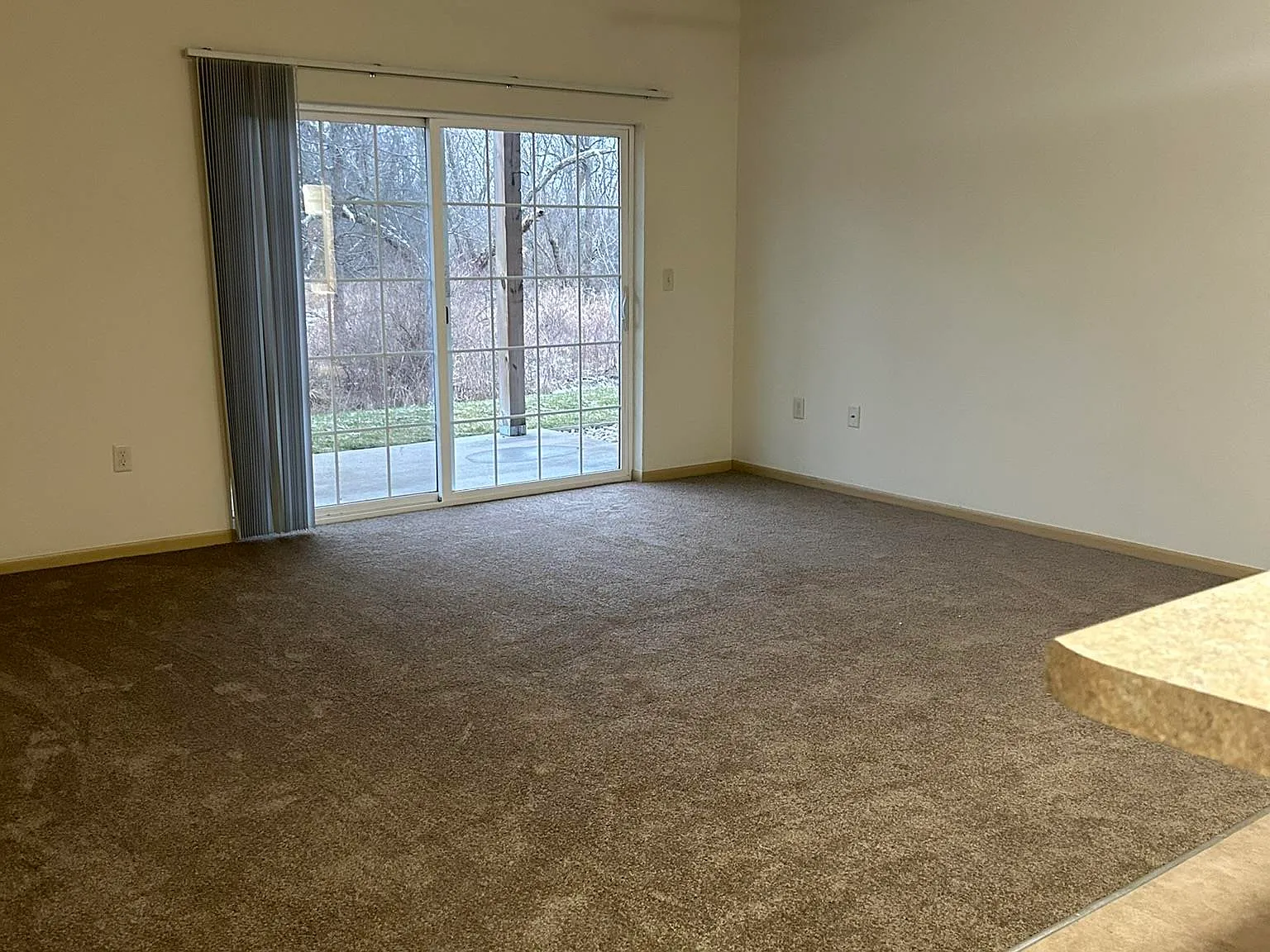 Forest View Apartments — Photo 4