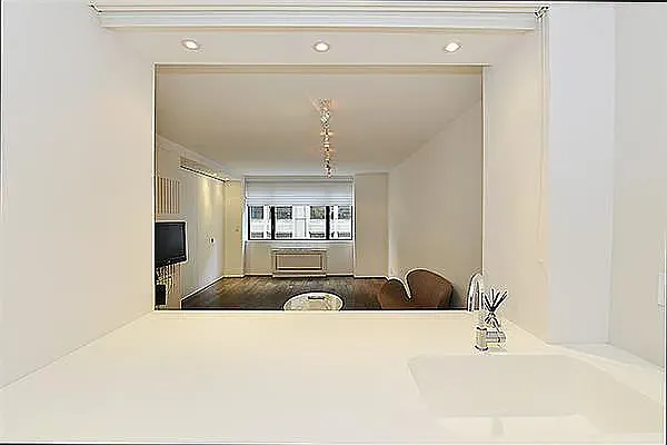 30 W 61st St #7F — Photo 6
