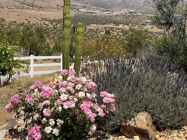 Escondido Canyon Rd — Photo 36
