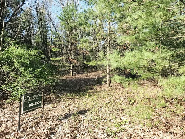 Juniper Rdg, Newaygo, MI 49337