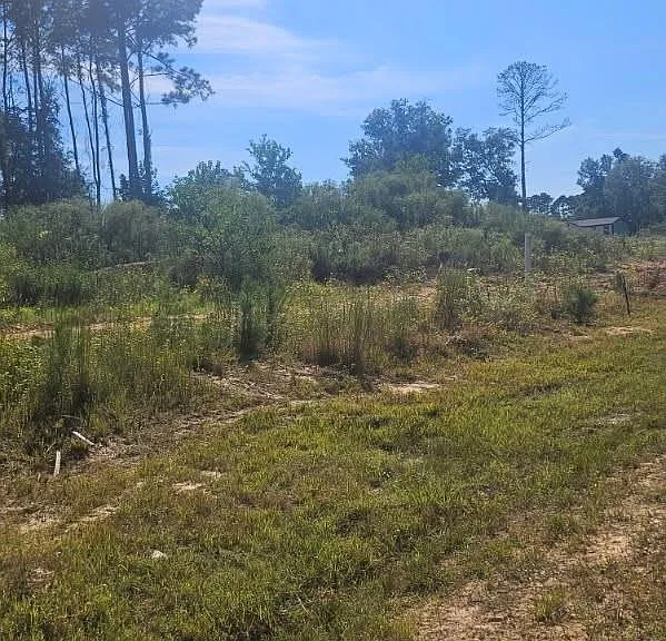 2049 Road 5913 — Photo 4