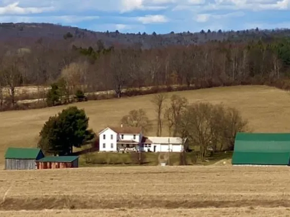 1239 Button Hill Rd, Tioga, PA 16946