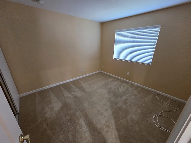 4206 Virginia Pine Ct — Photo 20
