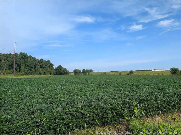 5th image of Dallas Rd