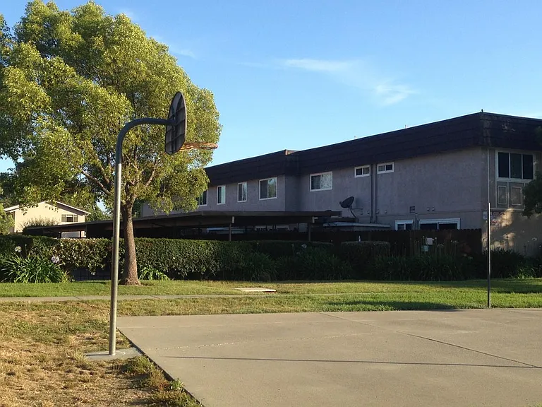 Basketball court