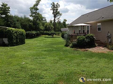 Backyard with 2 Producing Grape Vines.