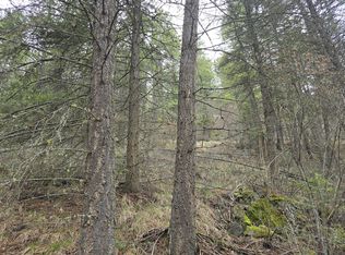 20 Summit Valley Rd, Addy, WA 99101