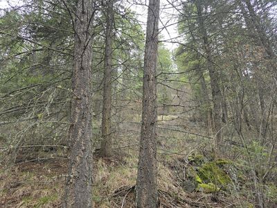 20 Summit Valley Rd, Addy, WA, 99101