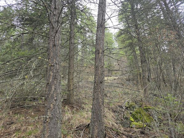 Vanesse Rd, Kettle Falls, WA 99141