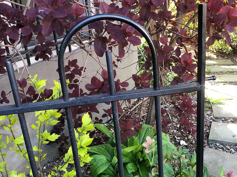 Garden gate, front entrance