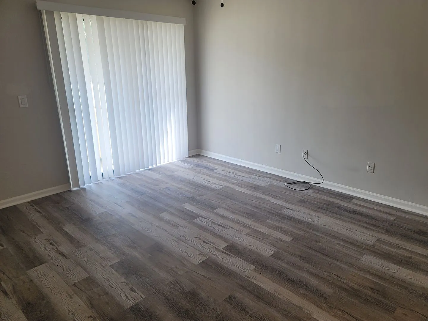 elmtree1401a — Photo 3